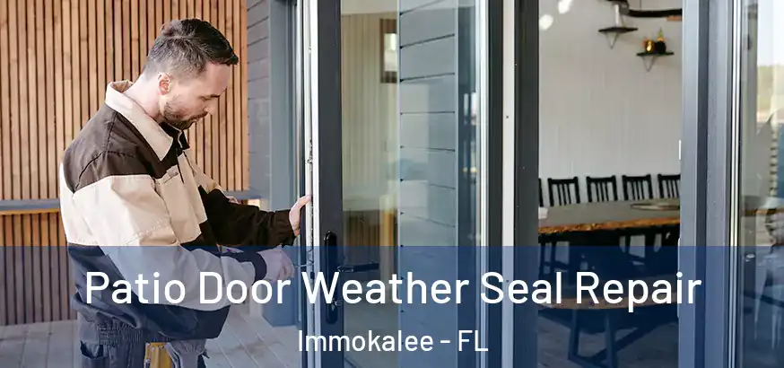  Patio Door Weather Seal Repair Immokalee - FL