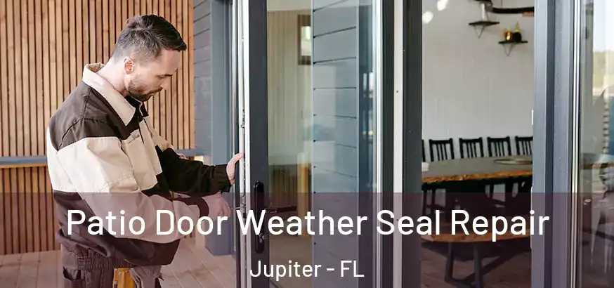  Patio Door Weather Seal Repair Jupiter - FL