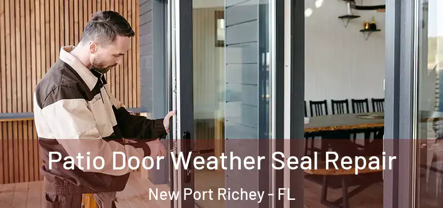  Patio Door Weather Seal Repair New Port Richey - FL