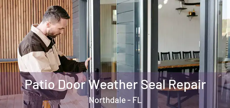 Patio Door Weather Seal Repair Northdale - FL