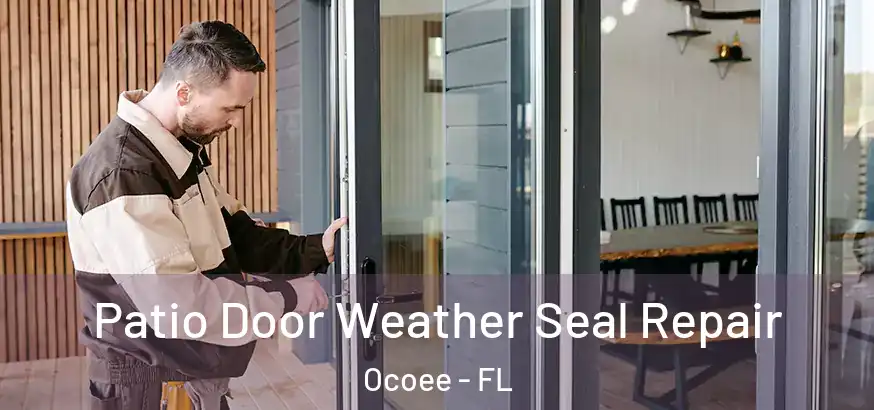  Patio Door Weather Seal Repair Ocoee - FL