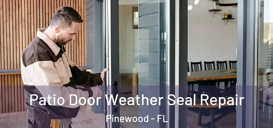  Patio Door Weather Seal Repair Pinewood - FL