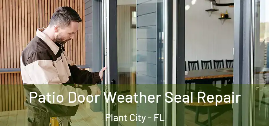 Patio Door Weather Seal Repair Plant City - FL