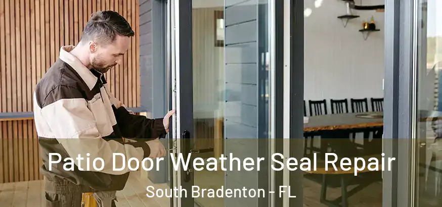  Patio Door Weather Seal Repair South Bradenton - FL