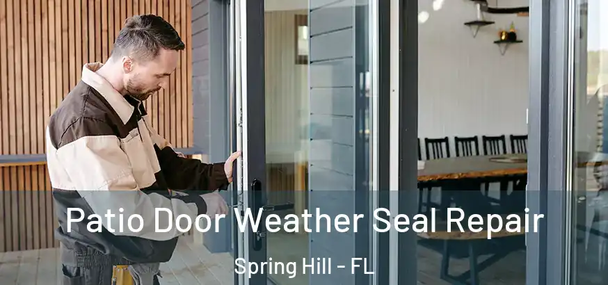 Patio Door Weather Seal Repair Spring Hill - FL