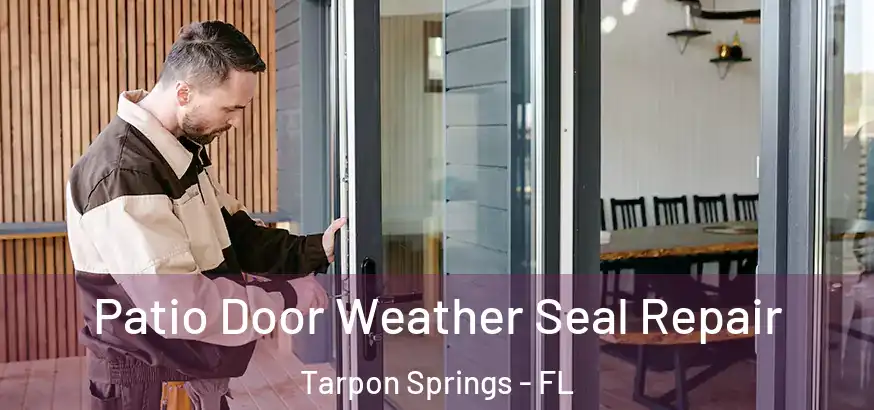  Patio Door Weather Seal Repair Tarpon Springs - FL