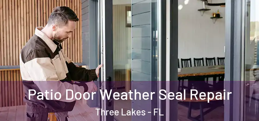  Patio Door Weather Seal Repair Three Lakes - FL