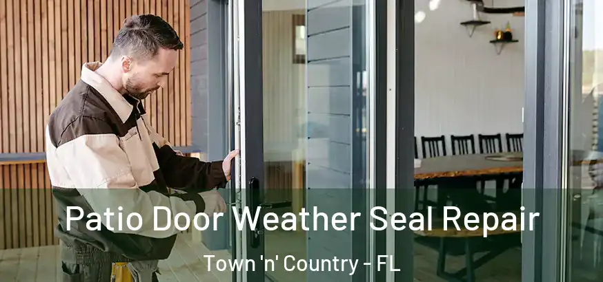  Patio Door Weather Seal Repair Town 'n' Country - FL