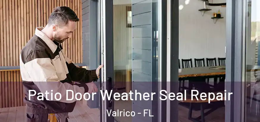  Patio Door Weather Seal Repair Valrico - FL