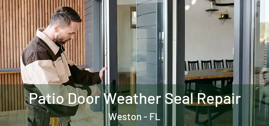  Patio Door Weather Seal Repair Weston - FL