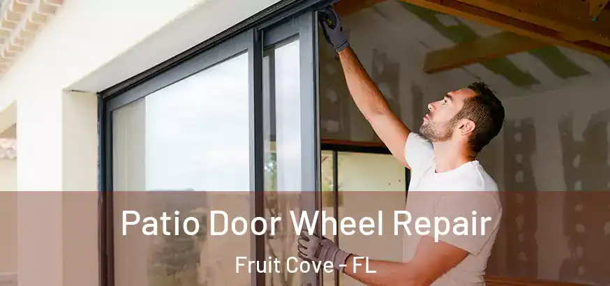 Patio Door Wheel Repair Fruit Cove - FL