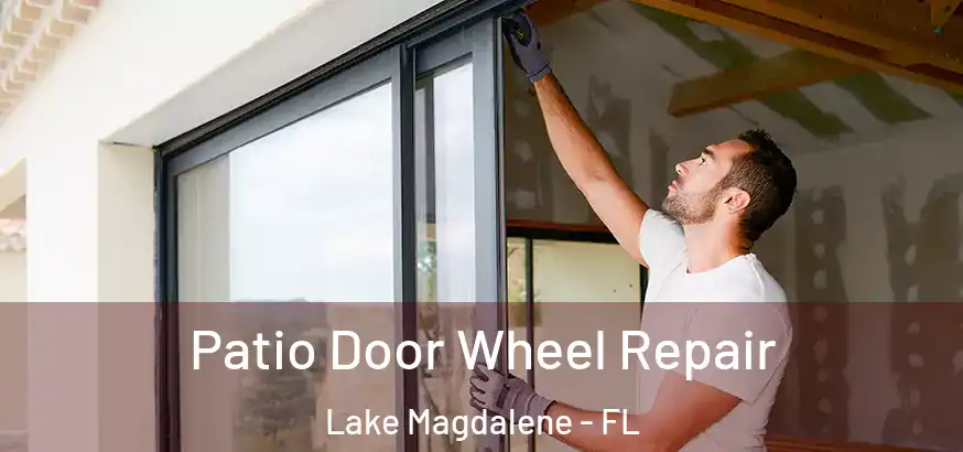 Patio Door Wheel Repair Lake Magdalene - FL