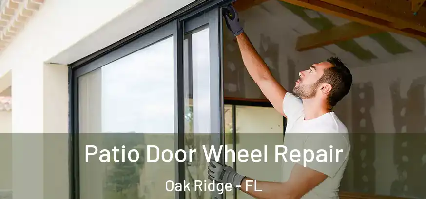  Patio Door Wheel Repair Oak Ridge - FL