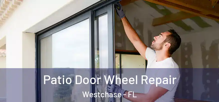  Patio Door Wheel Repair Westchase - FL