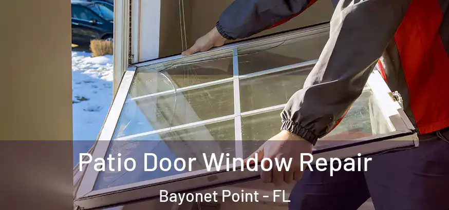  Patio Door Window Repair Bayonet Point - FL