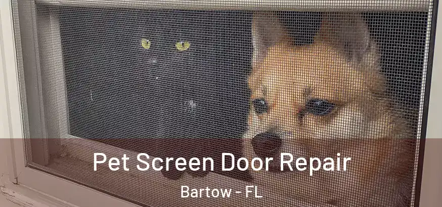  Pet Screen Door Repair Bartow - FL