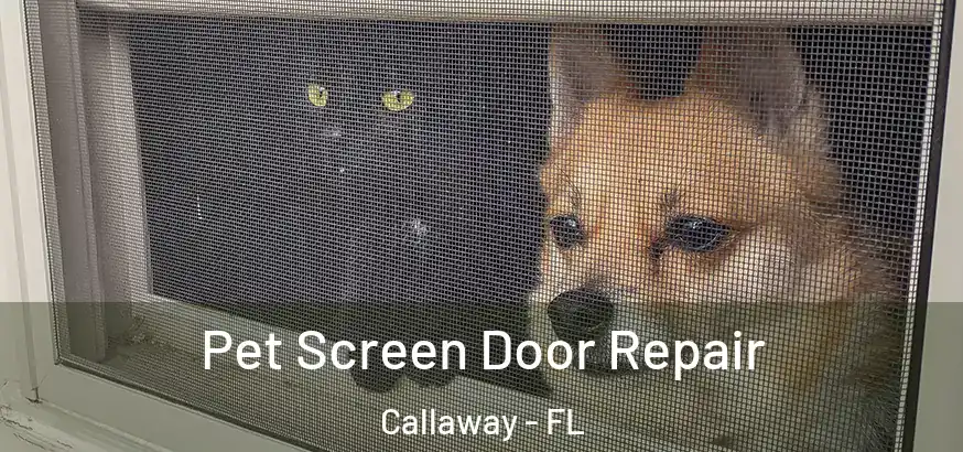  Pet Screen Door Repair Callaway - FL