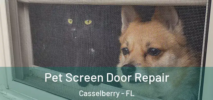  Pet Screen Door Repair Casselberry - FL