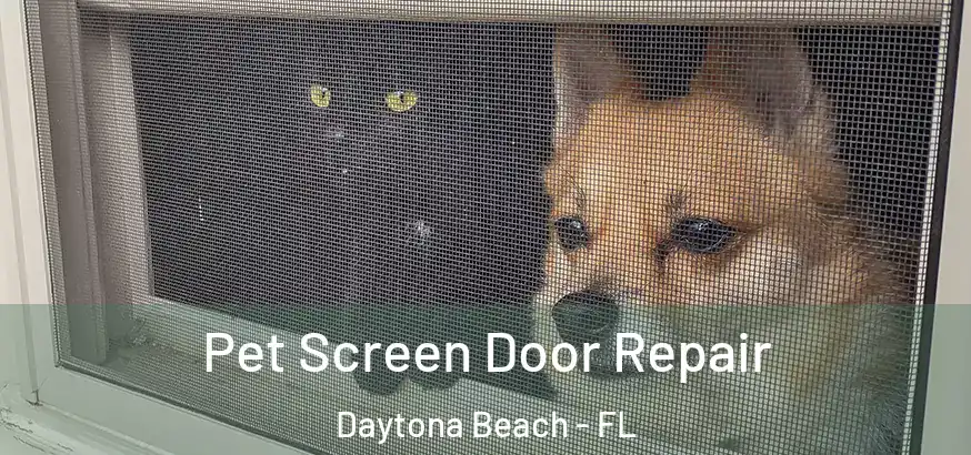  Pet Screen Door Repair Daytona Beach - FL