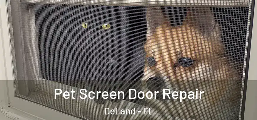  Pet Screen Door Repair DeLand - FL