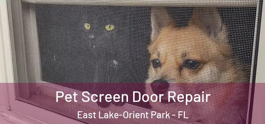  Pet Screen Door Repair East Lake-Orient Park - FL