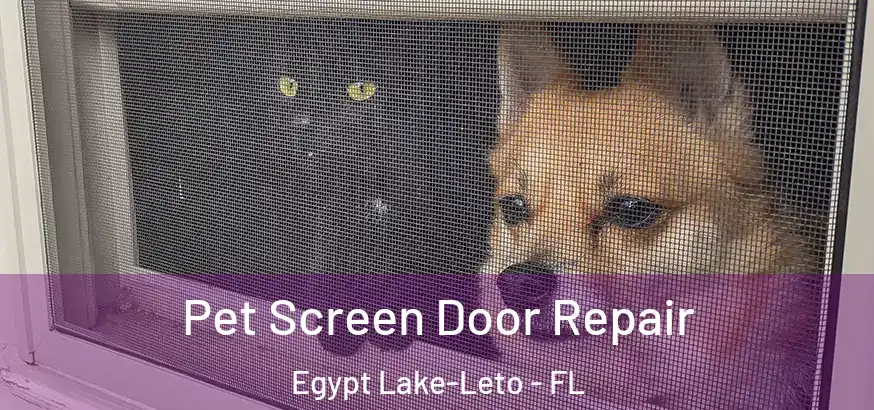 Pet Screen Door Repair Egypt Lake-Leto - FL