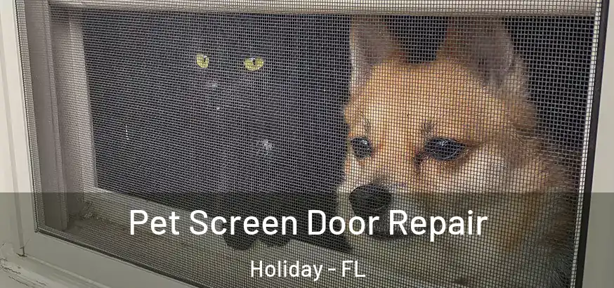  Pet Screen Door Repair Holiday - FL