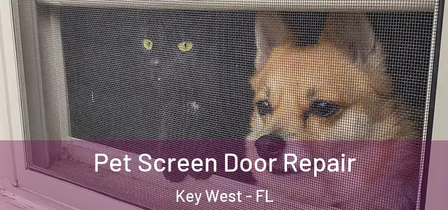 Pet Screen Door Repair Key West - FL