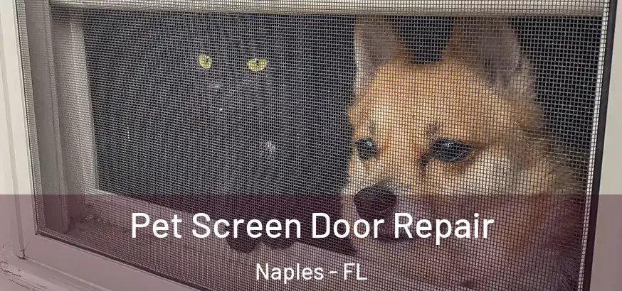  Pet Screen Door Repair Naples - FL