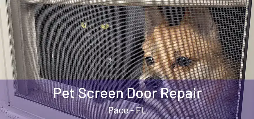  Pet Screen Door Repair Pace - FL
