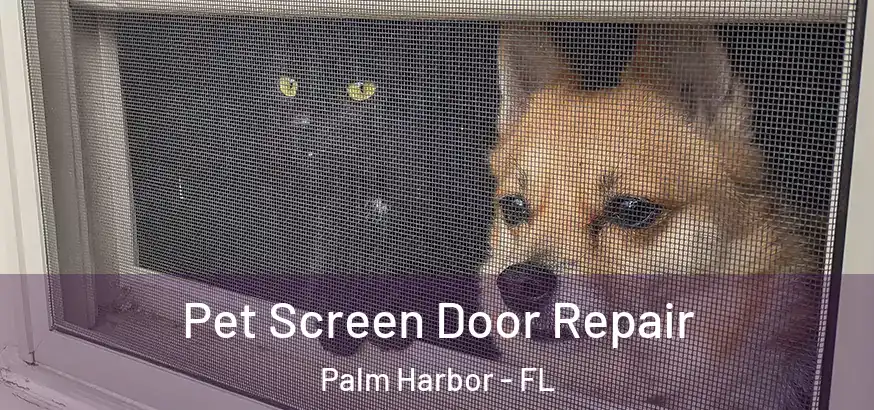 Pet Screen Door Repair Palm Harbor - FL