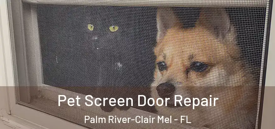 Pet Screen Door Repair Palm River-Clair Mel - FL
