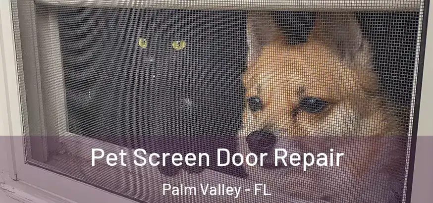  Pet Screen Door Repair Palm Valley - FL