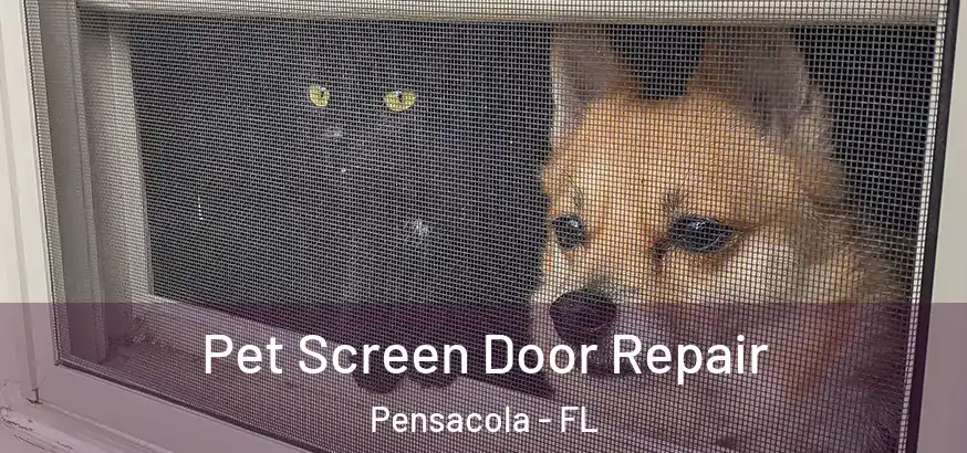  Pet Screen Door Repair Pensacola - FL