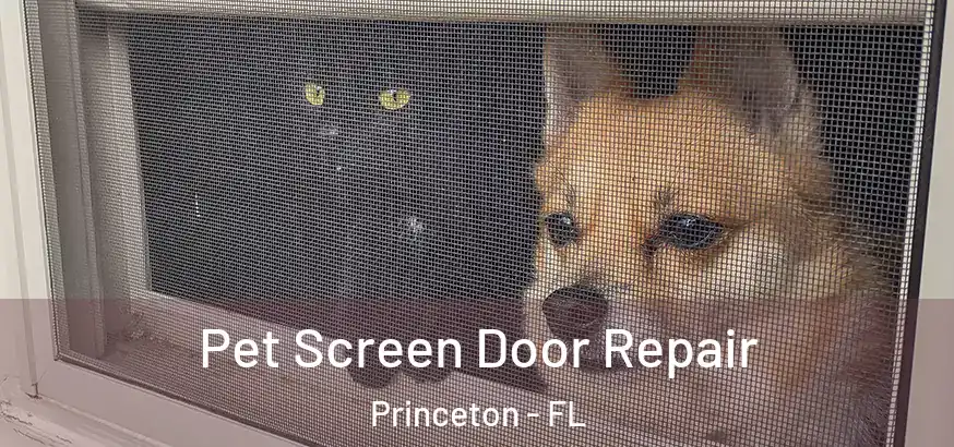 Pet Screen Door Repair Princeton - FL