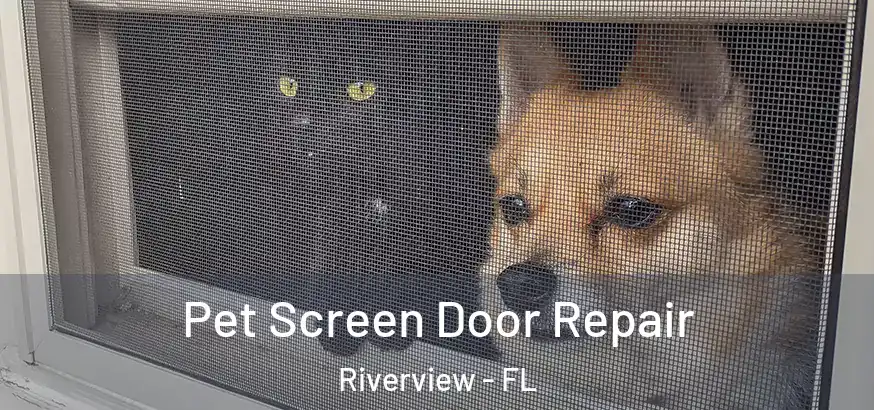  Pet Screen Door Repair Riverview - FL