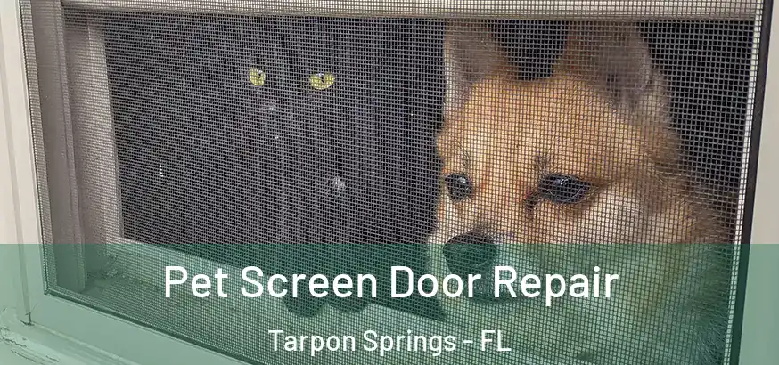  Pet Screen Door Repair Tarpon Springs - FL