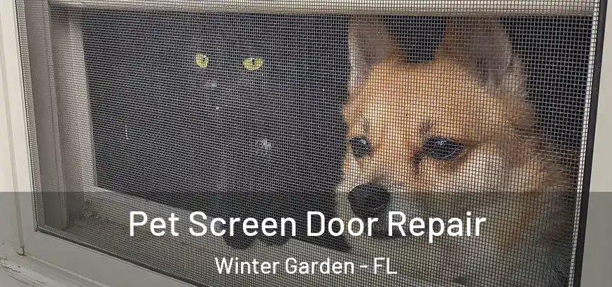  Pet Screen Door Repair Winter Garden - FL