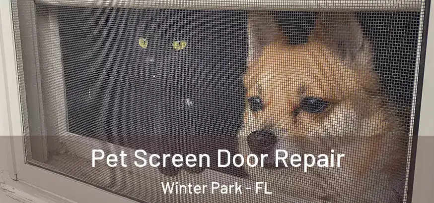  Pet Screen Door Repair Winter Park - FL