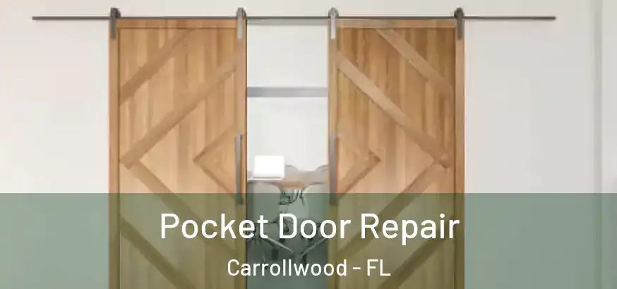 Pocket Door Repair Carrollwood - FL