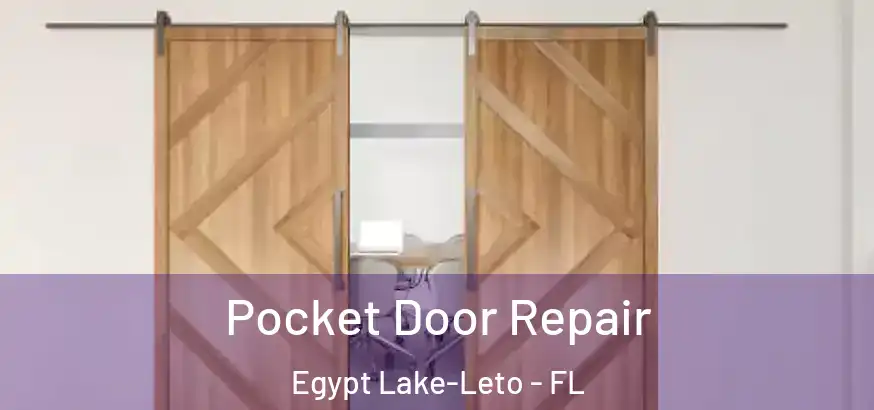  Pocket Door Repair Egypt Lake-Leto - FL