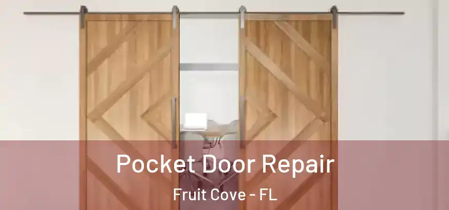Pocket Door Repair Fruit Cove - FL