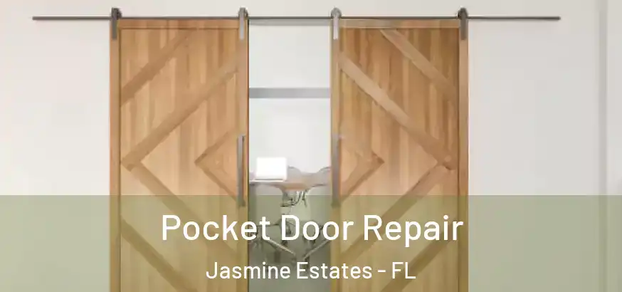  Pocket Door Repair Jasmine Estates - FL