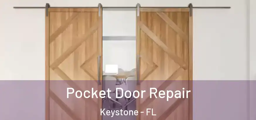  Pocket Door Repair Keystone - FL