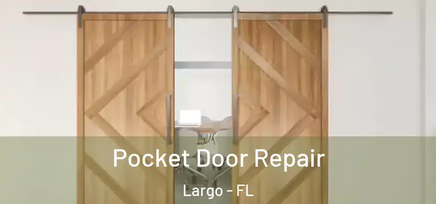  Pocket Door Repair Largo - FL