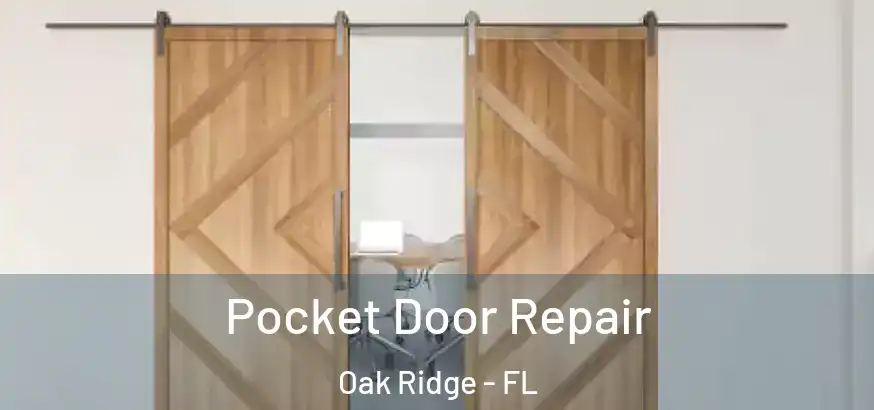 Pocket Door Repair Oak Ridge - FL