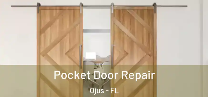  Pocket Door Repair Ojus - FL