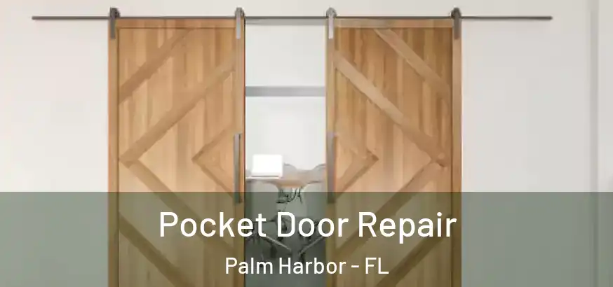 Pocket Door Repair Palm Harbor - FL