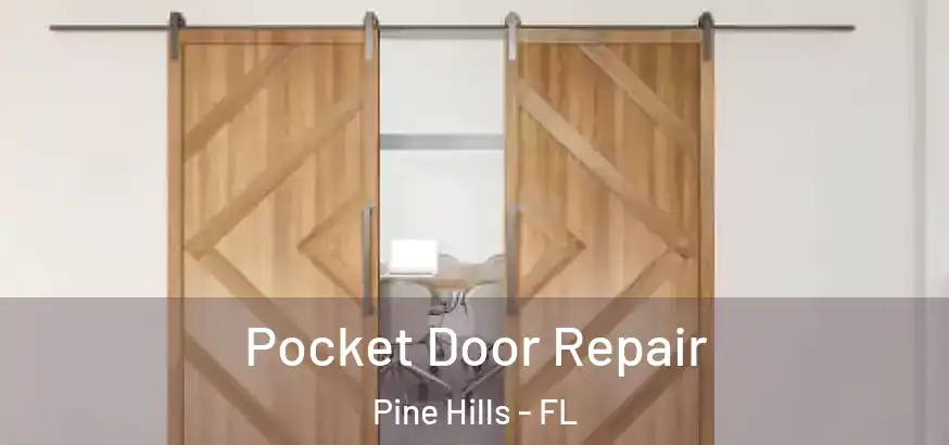  Pocket Door Repair Pine Hills - FL