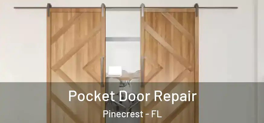  Pocket Door Repair Pinecrest - FL